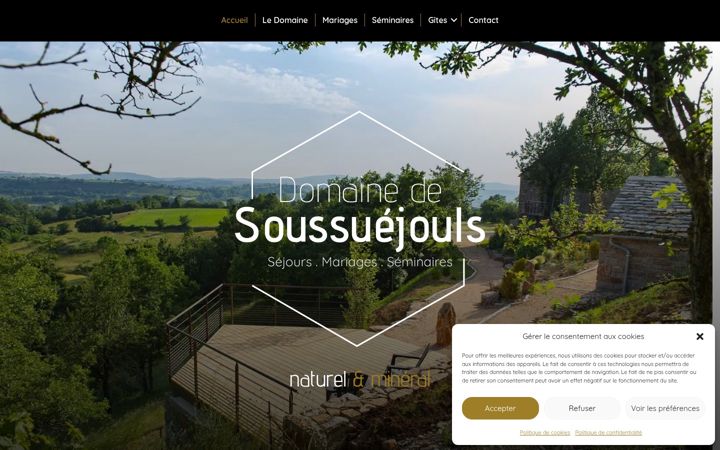 Screenshot of domaine-de-soussuejouls.com