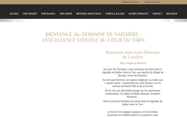 Screenshot of domaine-de-vaissiere-81.com