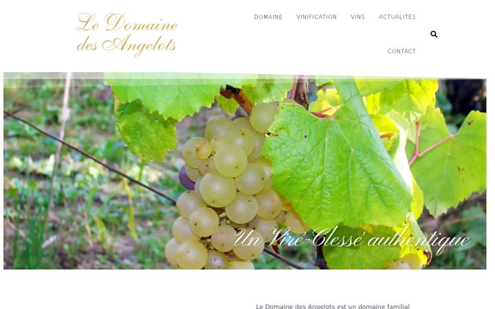 Screenshot von domaine-des-angelots.fr