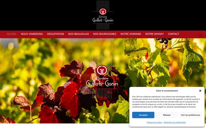 Screenshot von domaine-guillot-gonin.fr