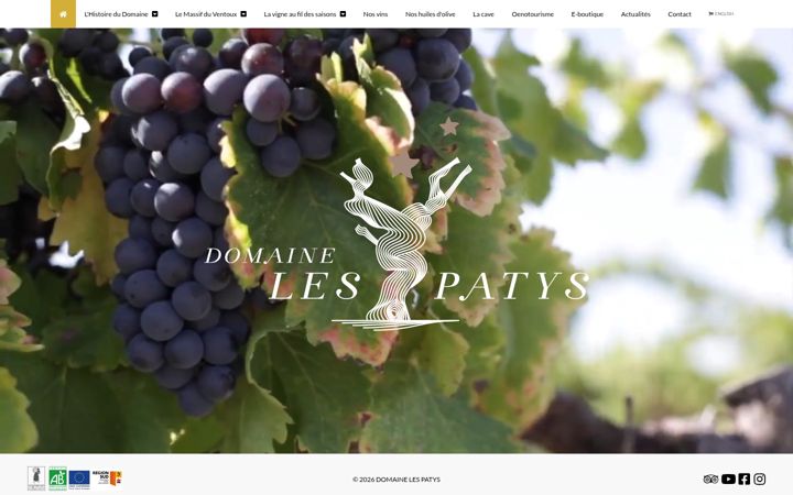 Screenshot of domaine-les-patys.fr