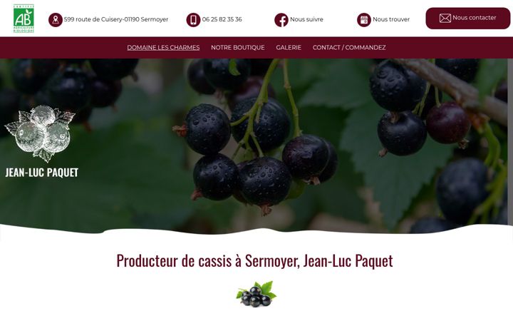 Screenshot of domaine-lescharmes.fr