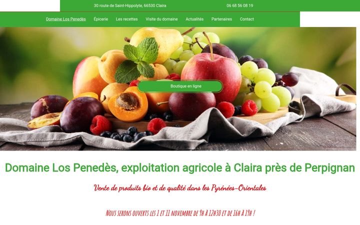 Screenshot of domaine-los-penedes.fr