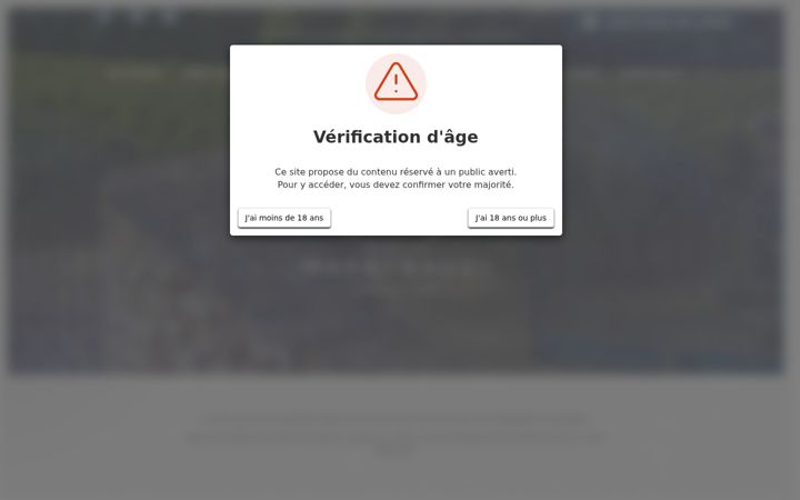 Screenshot of domaine-maestracci.com
