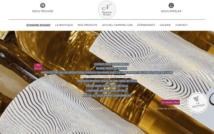 Screenshot of domaine-nosary.fr