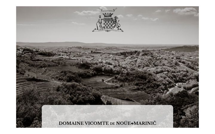 Screenshot of domaine-nouemarinic.com