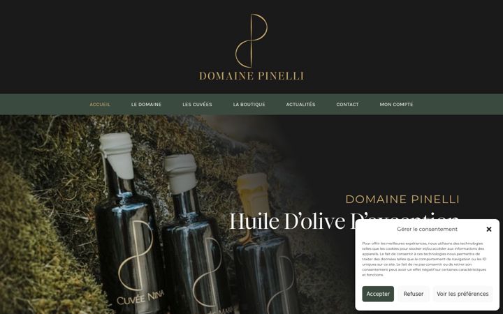 Screenshot of domaine-pinelli.com