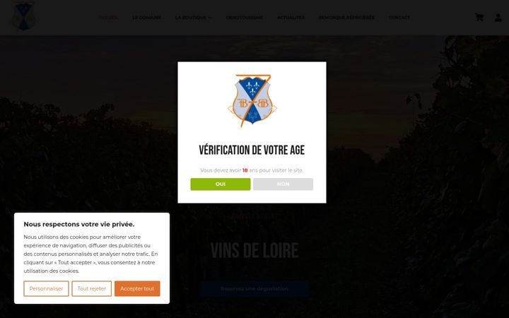 Screenshot of domaine-sainteanne.com