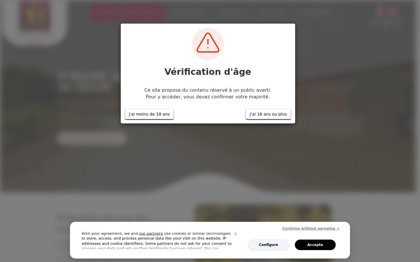 Capture d'écran de la bannière de consentement affichée avant toute interaction