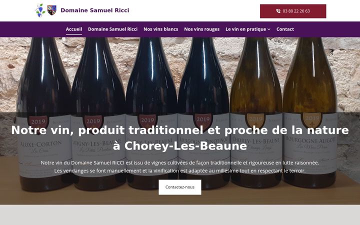 Screenshot von domaine-samuel-ricci.fr