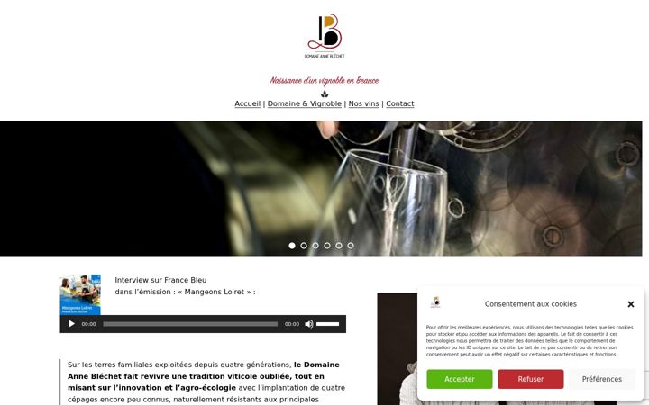 Screenshot of domaineanneblechet.fr