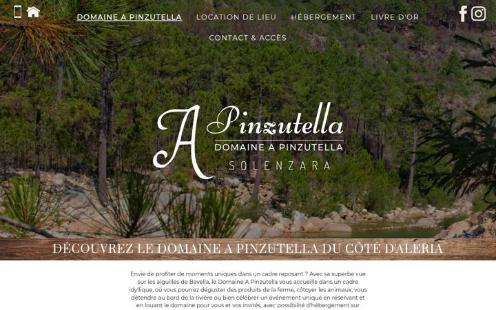 Screenshot of domaineapinzutella.fr
