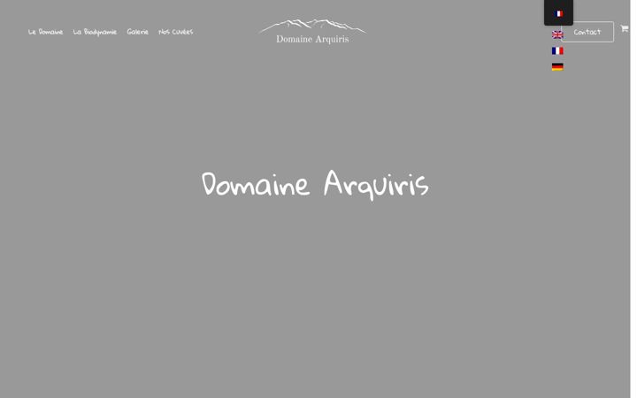 Screenshot of domainearquiris.com