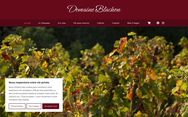 Screenshot of domaineblachon.fr