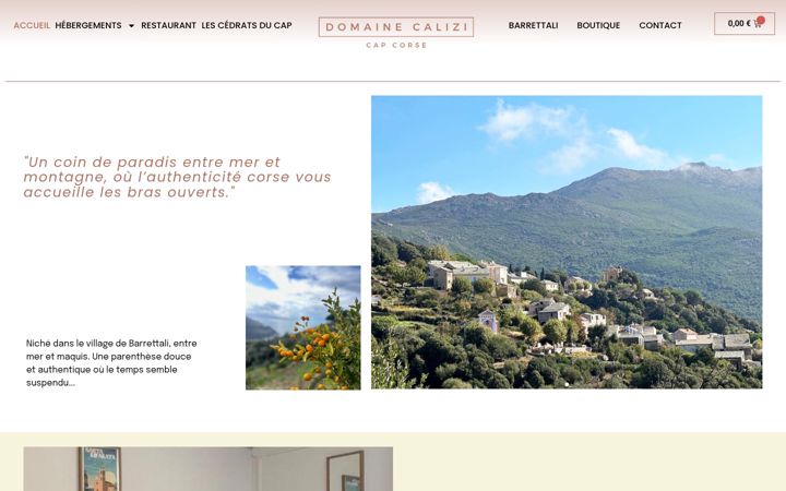 Screenshot of domainecalizi.com