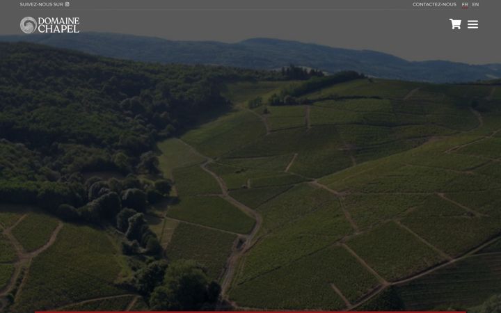 Screenshot of domainechapel.fr
