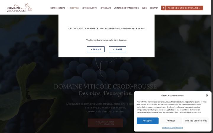 Ekraanipilt saidist domainecroixrousse.fr