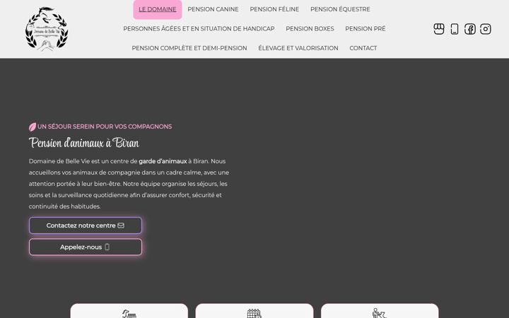 Ekraanipilt saidist domainedebellevie.fr
