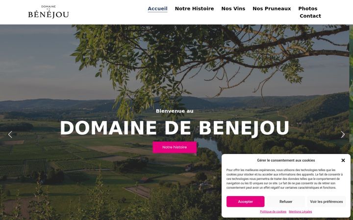 Screenshot of domainedebenejou.com