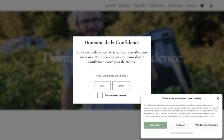 Screenshot του domainedelaconfidence.fr
