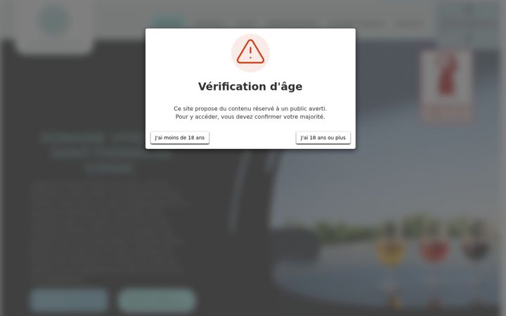 Screenshot of domainedelaville17.fr