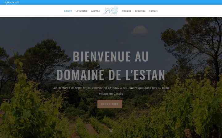 Screenshot of domainedelestan.fr