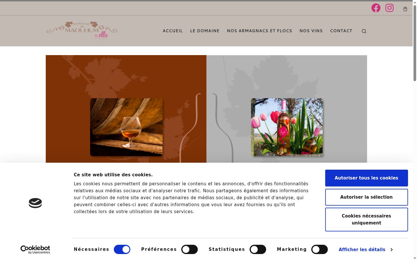 Screenshot of the consent banner shown before any interaction