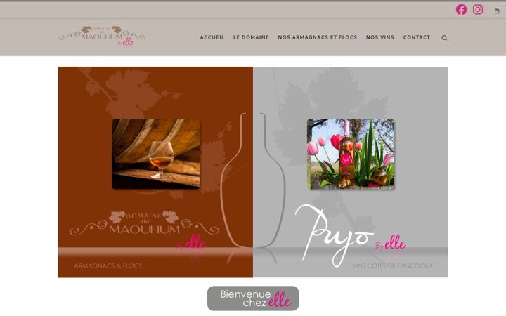 Screenshot of domainedemaouhumbyelle.fr