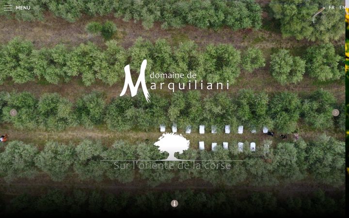 Screenshot of domainedemarquiliani.com