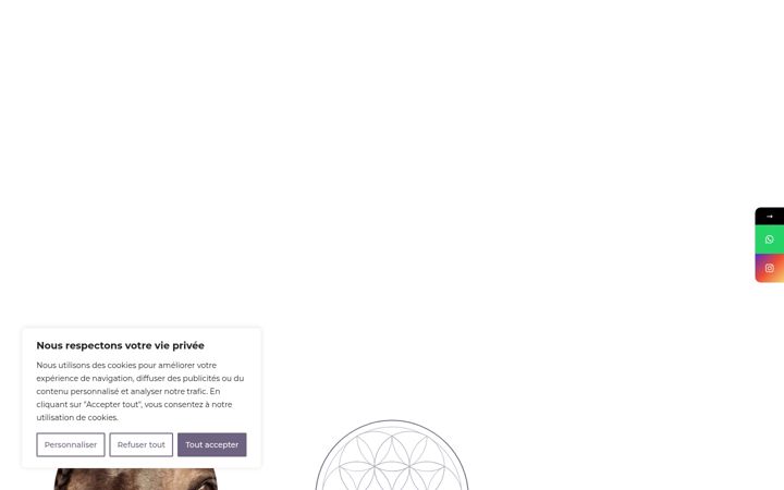 Screenshot ta' domainedemoinepre.fr