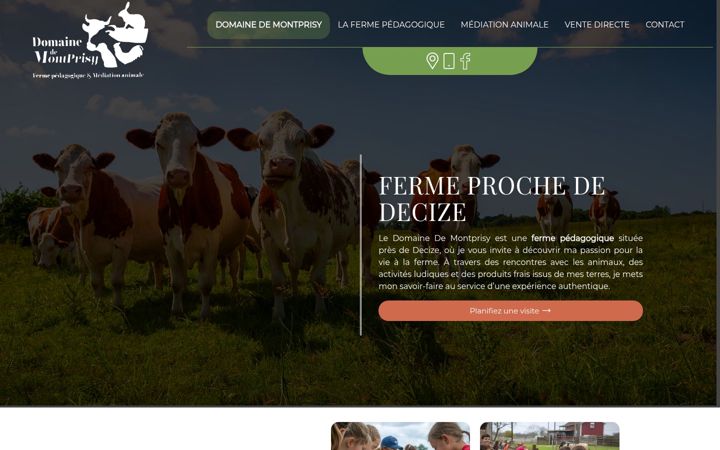 Screenshot ta' domainedemontprisy.fr