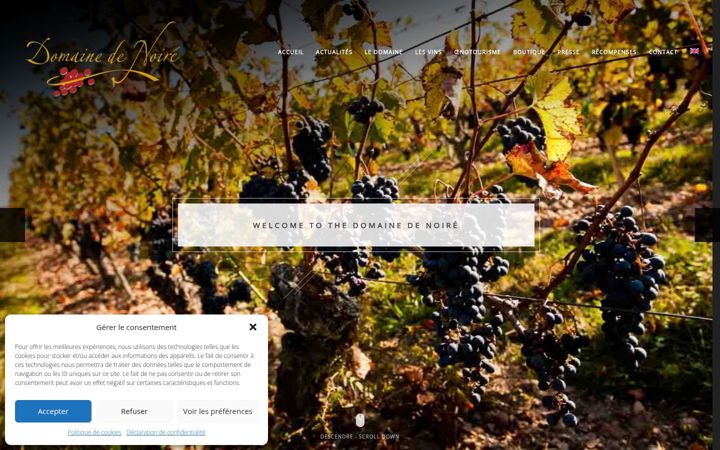 Screenshot ta' domainedenoire.fr