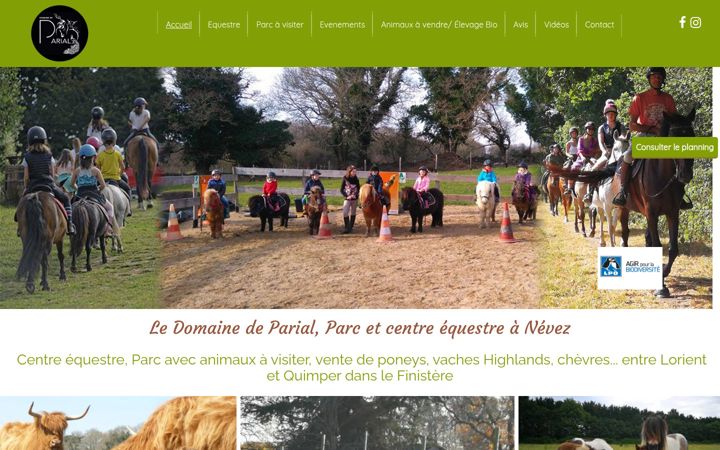 Screenshot ta' domainedeparial.fr