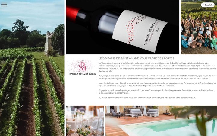 Snímek obrazovky domainedesaintamand.fr