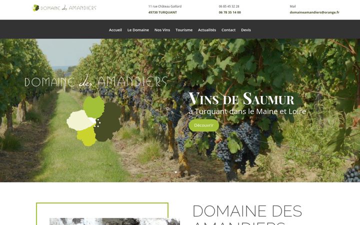 Snímek obrazovky domainedesamandiers-viticulteur.fr