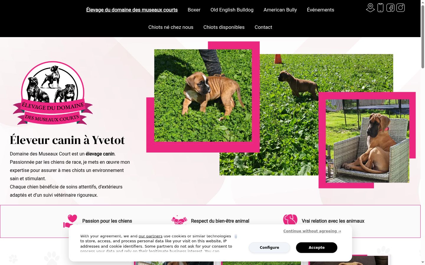 Screenshot of the consent banner shown before any interaction