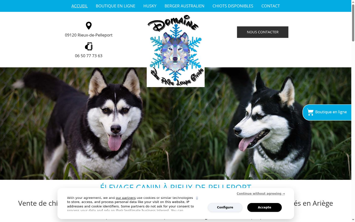 Screenshot of the consent banner shown before any interaction
