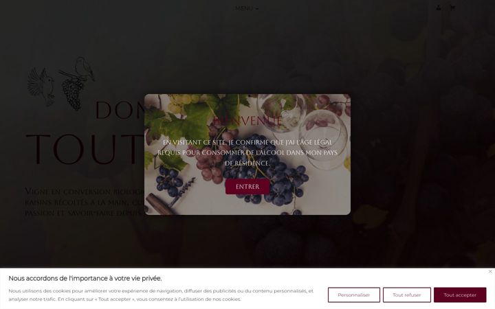 Snímek obrazovky domainedetoutifaut24.fr