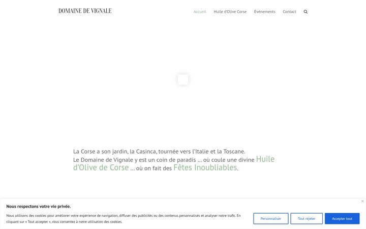 Screenshot of domainedevignale.com
