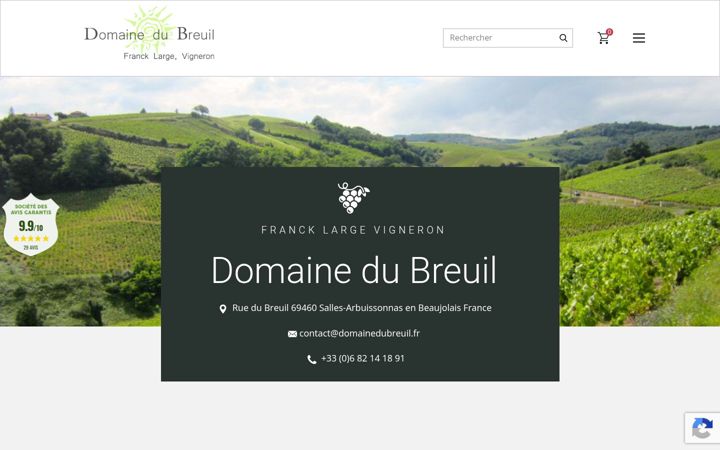 Snímek obrazovky domainedubreuil-gite-vins.fr