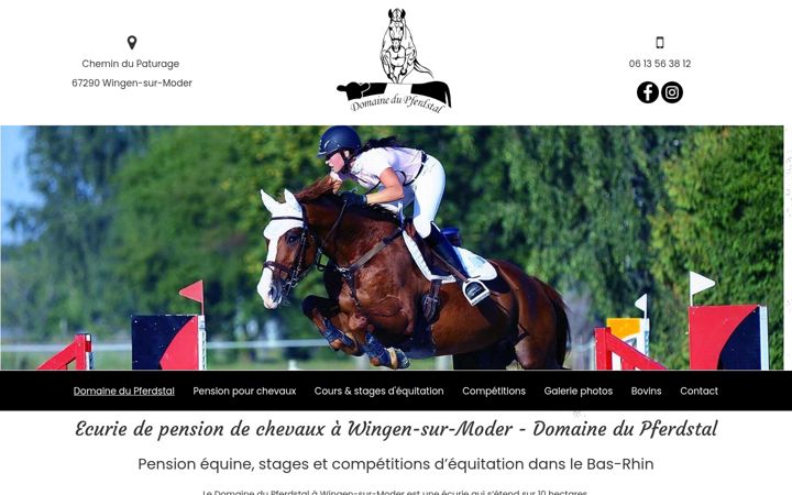 Snímek obrazovky domainedupferdstal.fr
