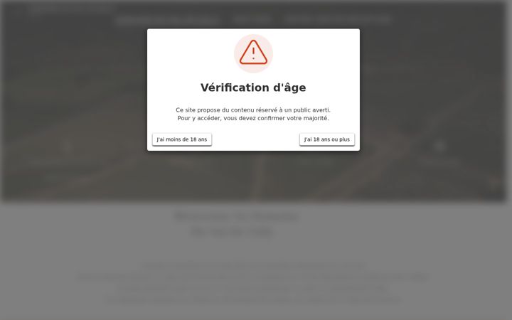 Screenshot of domaineduvaldegilly.com