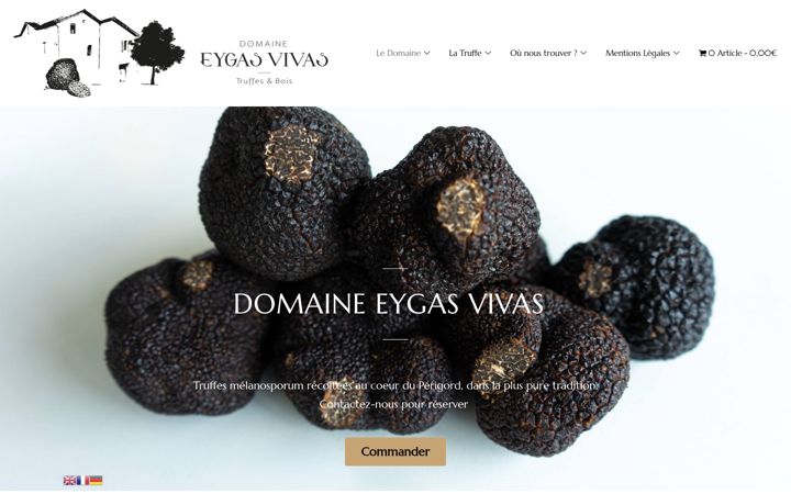 Snímek obrazovky domaineeygasvivas.fr
