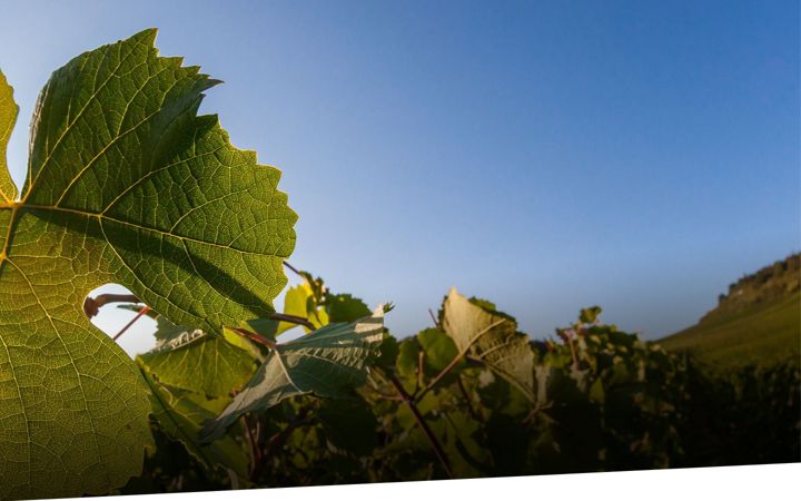Screenshot of domainefourbassot-71.com
