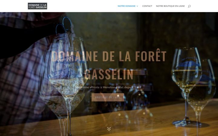 Snímek obrazovky domainegodeluregisetlaurent.fr