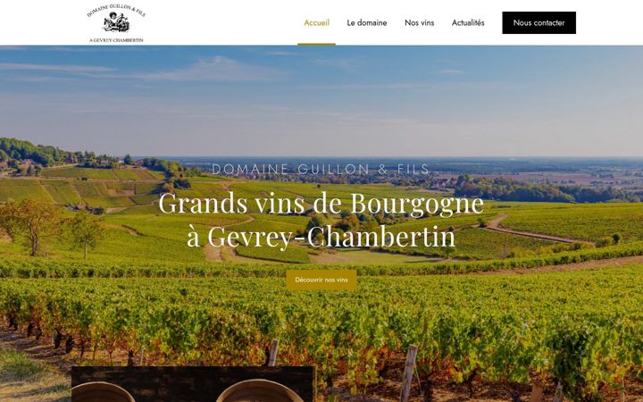 Screenshot of domaineguillon.com