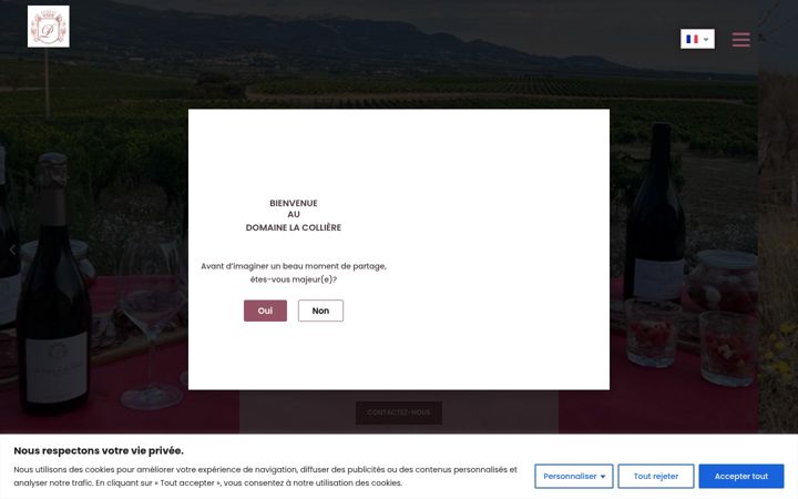 Screenshot of domainelacolliere.com