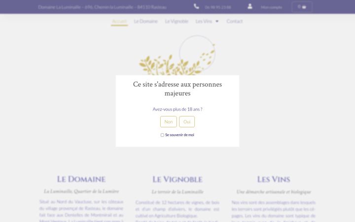 Snímek obrazovky domainelaluminaille.fr