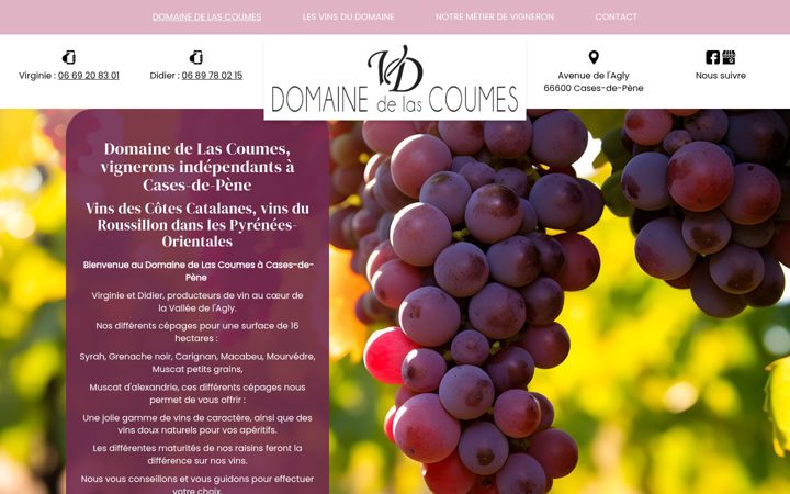 Snímek obrazovky domainelascoumes.fr
