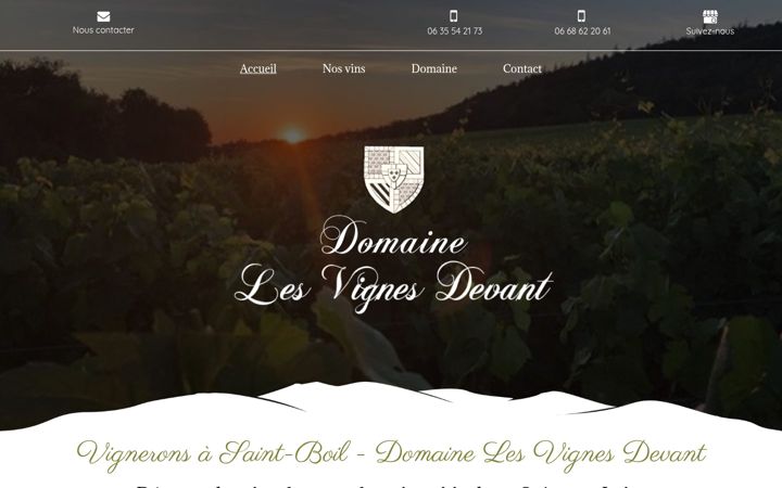 Screenshot of domainelesvignesdevant.fr